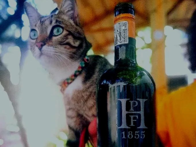 Fine Feline Wine: Kat Met Die Houtbeen